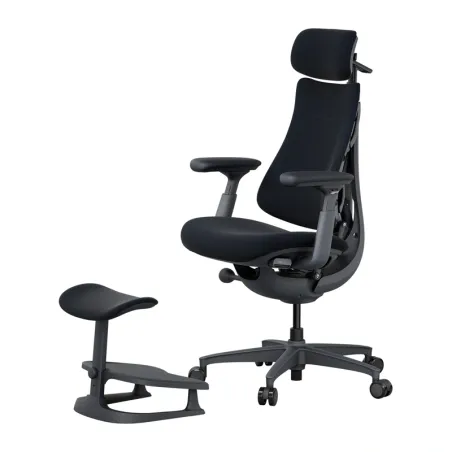 LiberNovo Omni 48 cm Ergonomic Chair (Black)